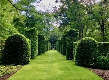 Ombre et fraîcheur à Pesselières